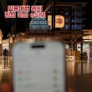 도비농장 | 일본 후쿠오카 여행 준비 링심 이심 eSIM (장점, 아이폰 설치, 사용 방법, 실시간 사용량, 후기)
