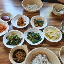텃골쉼터