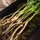 동문천로 이미지