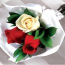 꽃파는아저씨 앞 이미지