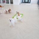 욜로호텔 이미지