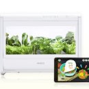 키즈팜 어린이집 이미지