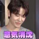 맴맴 이미지