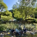 화악산 개울건너 이미지