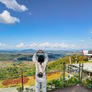 재미있게 | 강화도 루지 가격 나이 곤돌라 코스 체험 후기 재미있게 즐기는 꿀팁