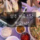 한울타리 | [양주/식당] 양주 장흥계곡 식당 '한울타리' 양주백숙 내돈내산 후기