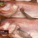 수미코다리