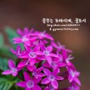 올리브식물원 이미지
