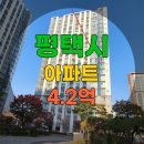 고덕국제신도시 대광로제비앙 THE ART 이미지
