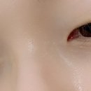 르네41 이미지