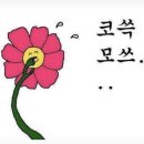 빅토리 짐 | [W13.🕊️]웨딩촬영/본식대비! 대구 여성 피티 빅토리짐 민영트레이너 추천 후기!!