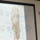 퍼스트 휘트니스 이미지