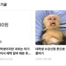 하트스토밍 | 블로그 한 달 동안 1일 1포스팅 해본 후기(+ 1일 1포 팁)