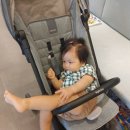 이뽀라성형외과의원 이미지