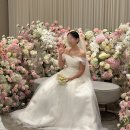 [웨딩] 가성비 부케 꽃술예 대만족 본식 후기💐