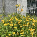 임신일기 39주차 그리고 출산_자연분만/가진통 진진통/자연분만 출산썰/긴글주의
