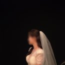 바시움 스튜디오 촬영 후기14 - 블랙 호리존 (거베라, 옛날 느낌, 베일)