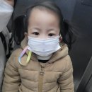 율이파파 이미지