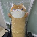 I got my Hamgom Big Body Pillow Today 이미지