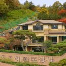 노블 골프연습장 이미지