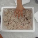 강구시장 이미지