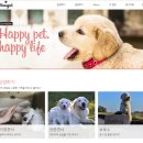 마이펫스토리 이미지