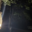 미소가든 펜션 야영장 이미지