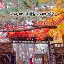 동막골목장 이미지