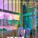 장고항오션뷰 - 당진시 장고항로 343-6 | 장고항오션뷰