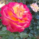 삼원공인중개사사무소 이미지