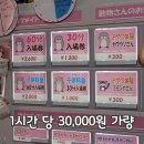 카페 수달 이미지