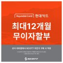 현대카드 최대 12개월 무이자 (오프라인 전용)