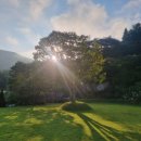 마로니에 펜션 | 옥천 캠핑장 마로니에숲 펜션 내돈내산 후기!