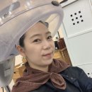 커티즘바이 이미지