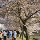 걸포중앙공원 관리동 화장실 이미지