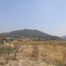 사라1마을회관 Daum카페