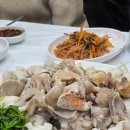 대해복어식당 | 🐟내맘대로 뽑은 경주 1위 맛집_존맛탱 아귀수육_감포일출복어_내돈내산 솔직후기