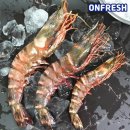 주식회사 타이거 이미지