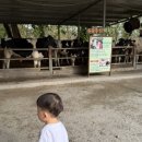 주주꼬꼬 네이버블로그
