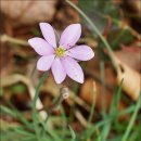 토영이야~길(2코스-미륵도길) 이미지