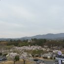 라임 | [경주/카페] 경주 보문호수 벚꽃 카페 추천,스타벅스 호수뷰 후기