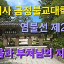 범어사 금정불교대학 염불선 제22강 깨달음과 부처님의 지혜 (2) 이미지