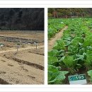 개울농장 가기전 이미지