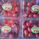 유림청과 이미지