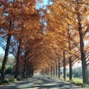 삼호보건진료소 이미지