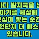 덕신(병설)유치원 이미지