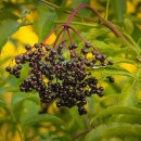 하이약국 이미지