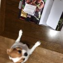 굽네치킨강서점 이미지