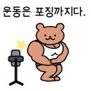 로얄스포렉스 이미지