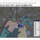 마레메디칼 이미지